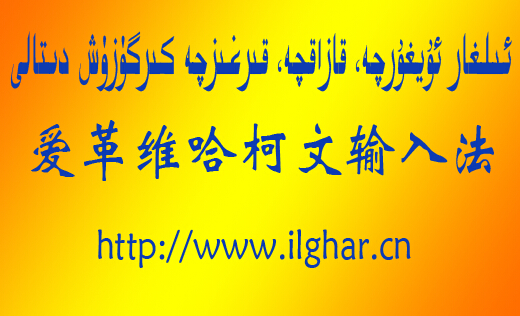 爱革维文输入法