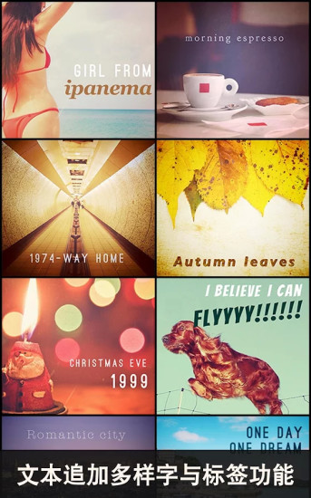 moldiv安卓版下载