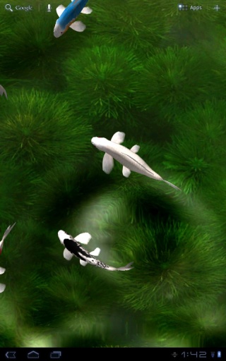 自由锦鲤动态壁纸下载