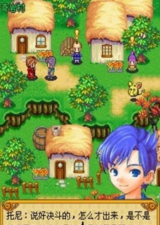 宠物之王龙灵传说正式版