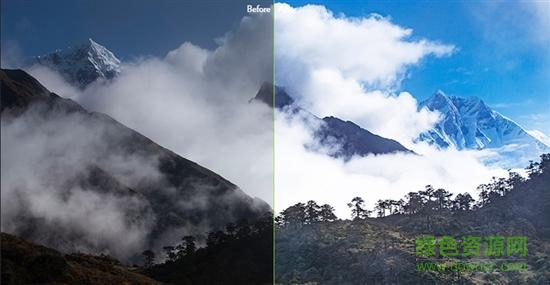 Photolemur Photolemur