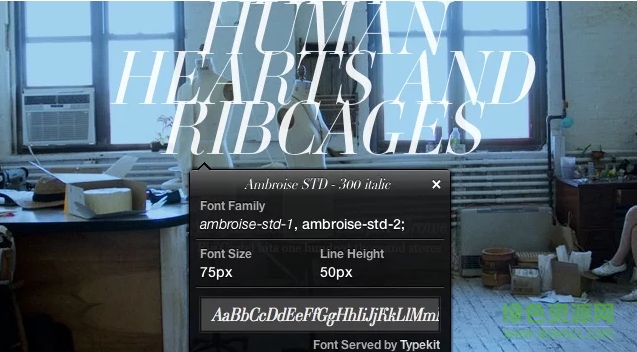 WhatFont whatfont 插件