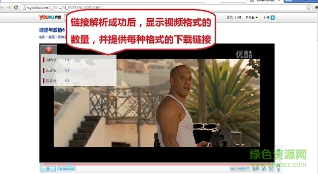 谷歌浏览器video插件