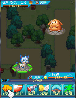 宠物王国2紫修改版