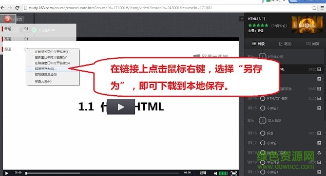 谷歌网络视频插件