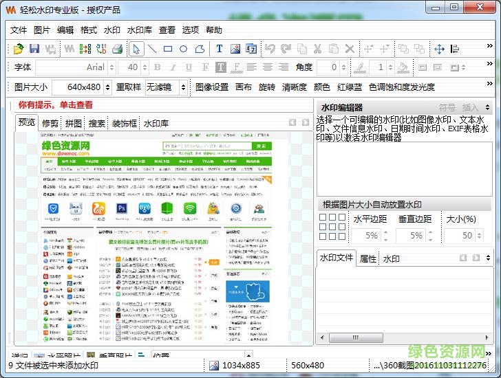 轻松水印专业版