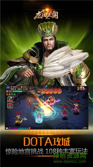 龙纹三国熊猫玩游戏 熊猫玩龙纹三国手游