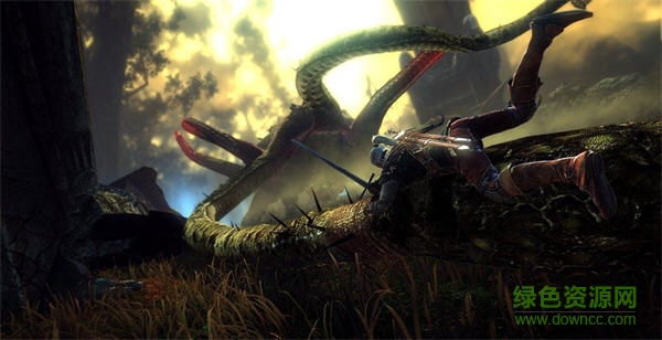 巫师2国王刺客加强版