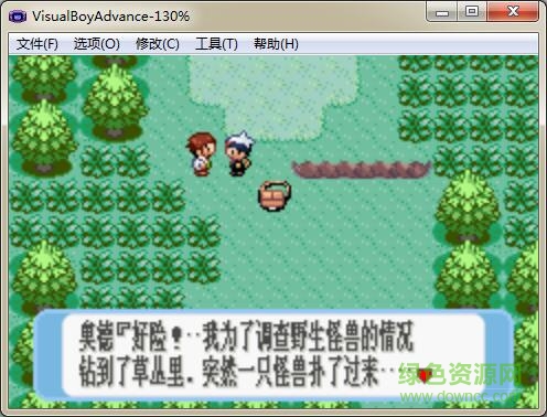 口袋妖怪红宝石386完美版