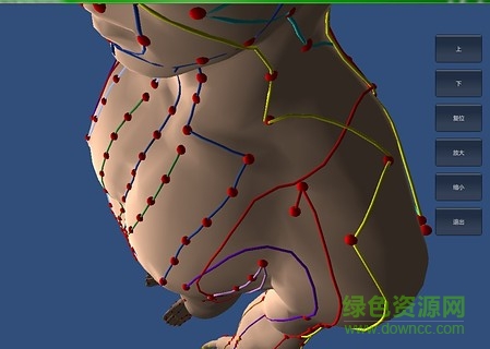 三d解剖软件 三d解剖软件