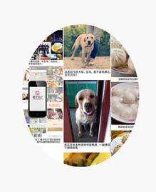 格子饺子iphone版