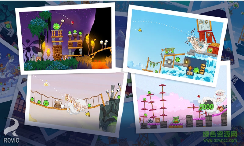 愤怒的小鸟夏季版 愤怒的小鸟夏季安卓版下载