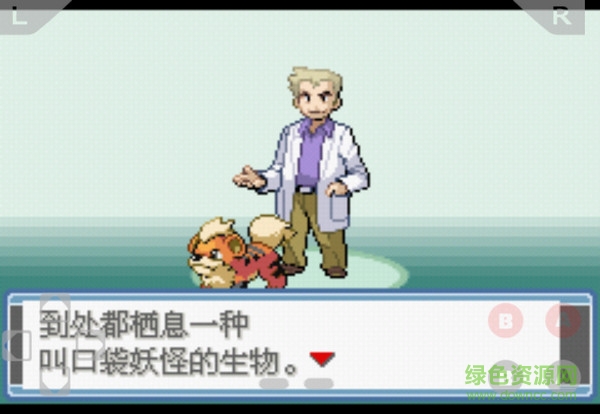 口袋妖怪永恒之炎zero血皇版 口袋妖怪永恒之炎zero血皇影风移植版