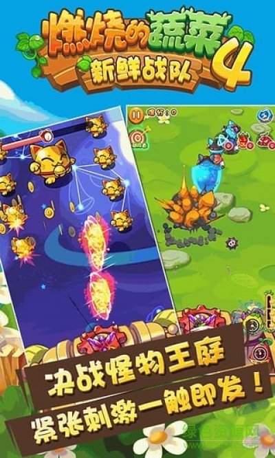 燃烧的蔬菜4新鲜战队修改版下载