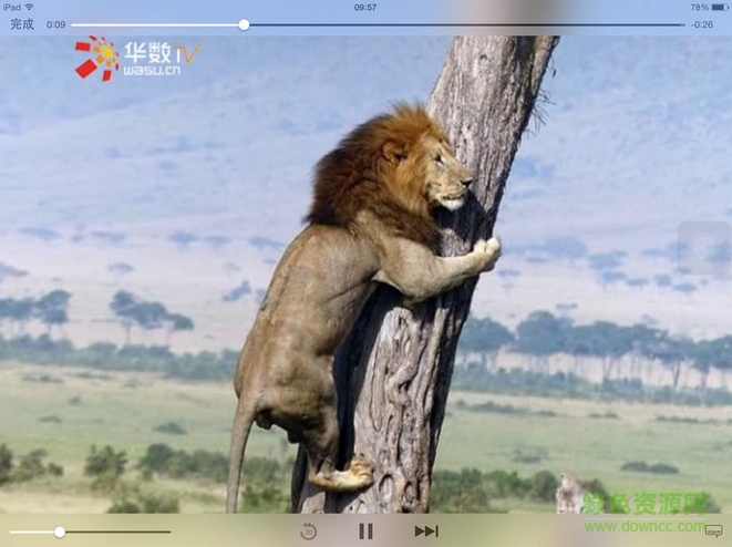 华数TV电视版 电视华数tv