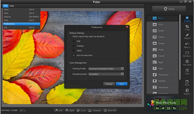 fotor照片编辑器