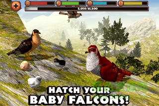 猎鹰模拟器 猎鹰模拟器中文版下载