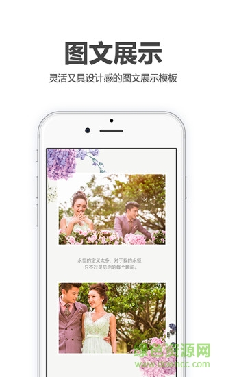 喜鹊请柬免费下载