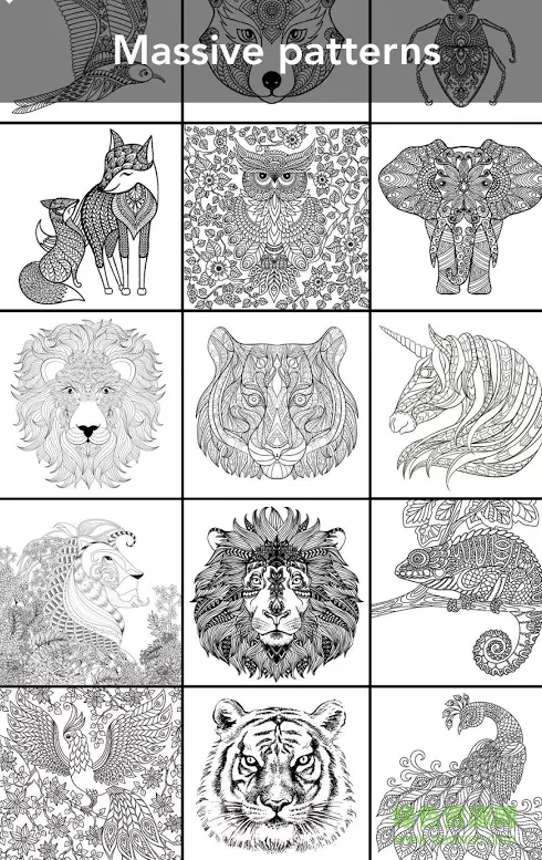 Animal Coloring安卓版