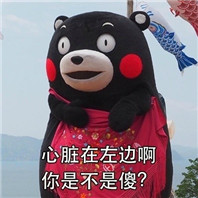 814268e3gy1fjb3ey9m6sj20b40b4ta4.jpg 熊本熊套路表情包