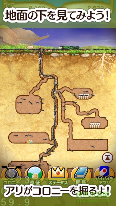 蚂蚁的巢中文版