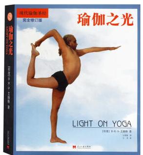 瑜伽之光 电子书