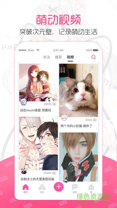 第一弹电视版下载