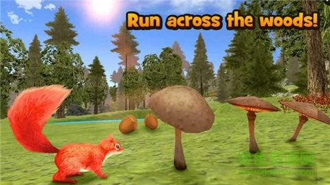 松鼠模拟器中文下载