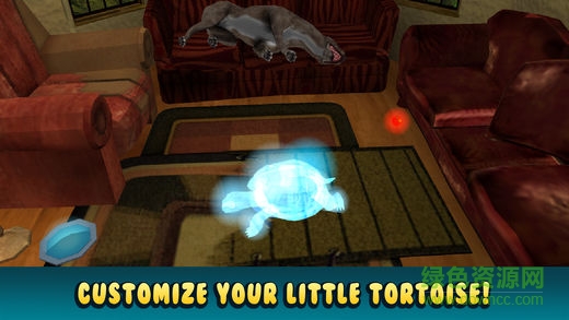 乌龟模拟器