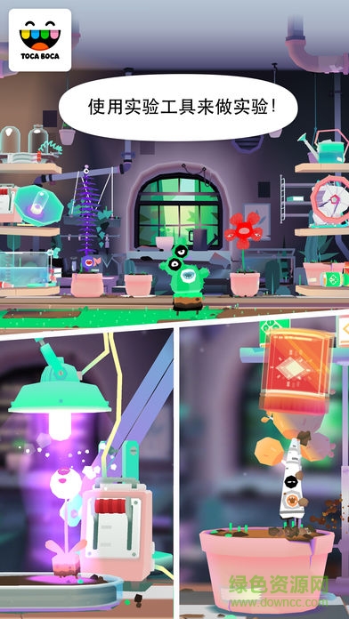 淘卡宝卡实验室植物