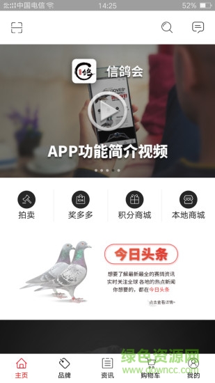 信鸽会app