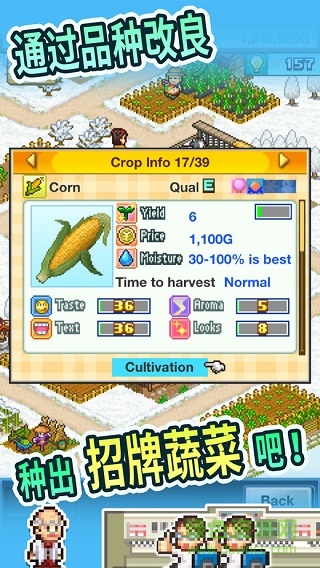 晴空农场物语汉化版