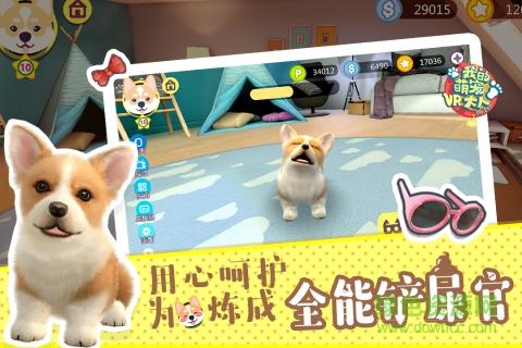 萌宠大人vr下载