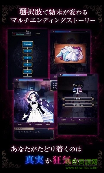 笼庭的知更鸟 笼庭的知更鸟下载