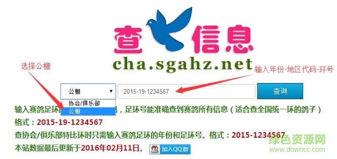 查鸽网app 查鸽信息手机客户端