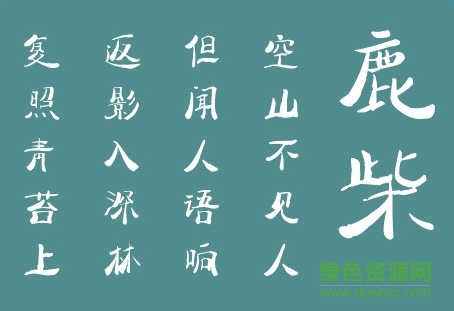 太极禅苑心源体下载 太极禅苑心源体