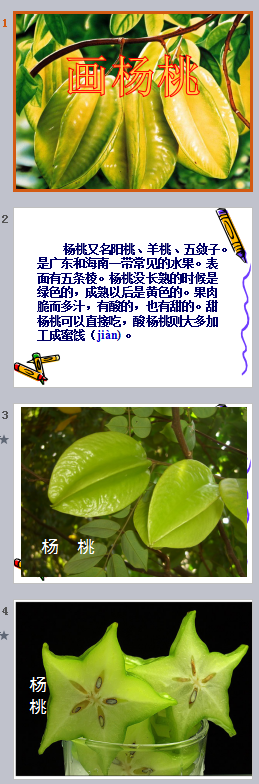 画杨桃公开课ppt 画杨桃公开课ppt