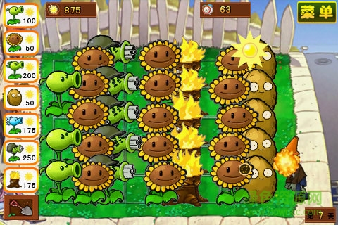 植物大战僵尸2011年度版