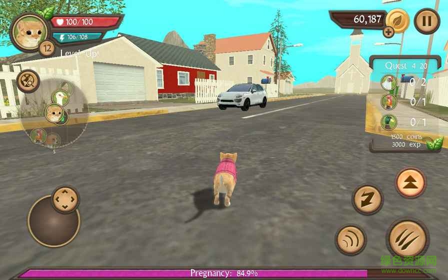 be1a1c7a75c8a0aaf14744176756ab8b.jpg 模拟猫咪最新