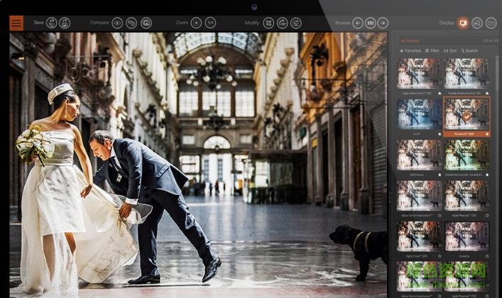 dxo filmpack 5汉化版 dxo filmpack 5汉化版