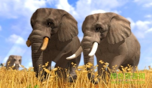 野生动物园大亨3汉化版