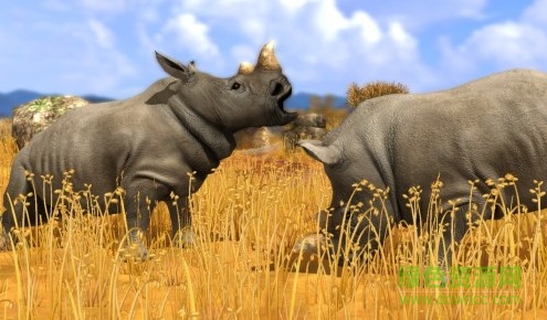 野生动物园大亨3中文版