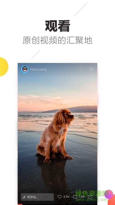 趣多拍客户端 趣多拍手机版