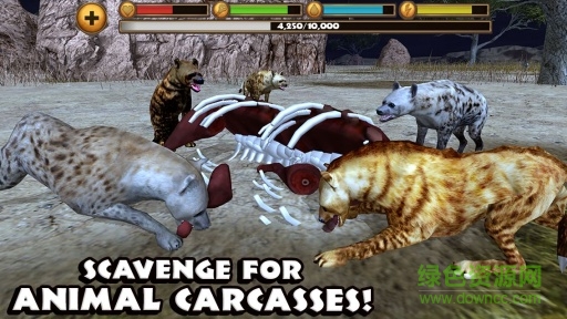 终极鬣狗模拟器