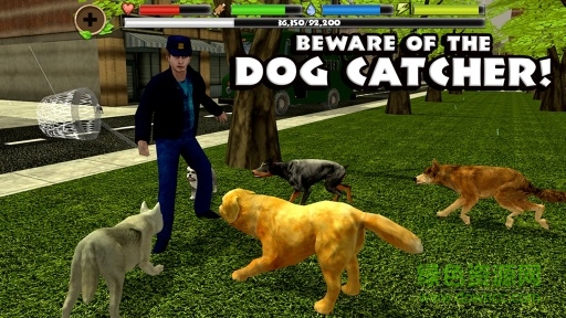 流浪狗模拟器 流浪狗模拟器手游下载