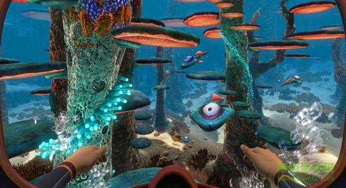 美丽水世界安卓手机版