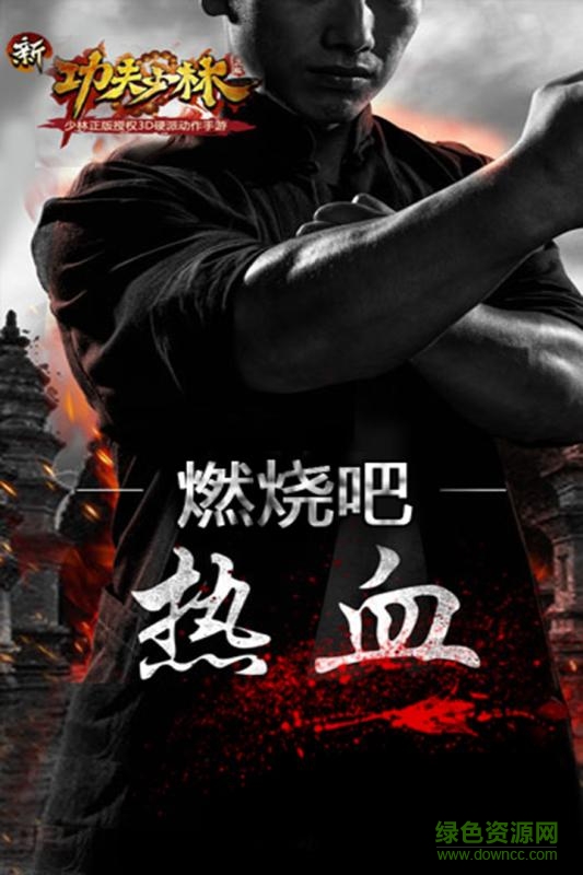 功夫少林热血版果盘版