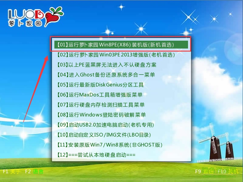 萝卜U盘启动盘制作软件