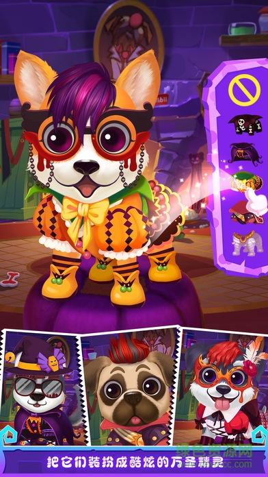 万圣节宠物沙龙