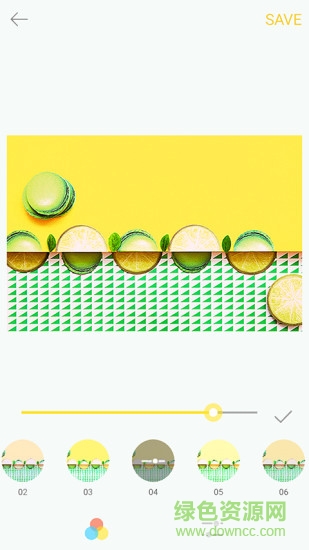 Palette Summer安卓